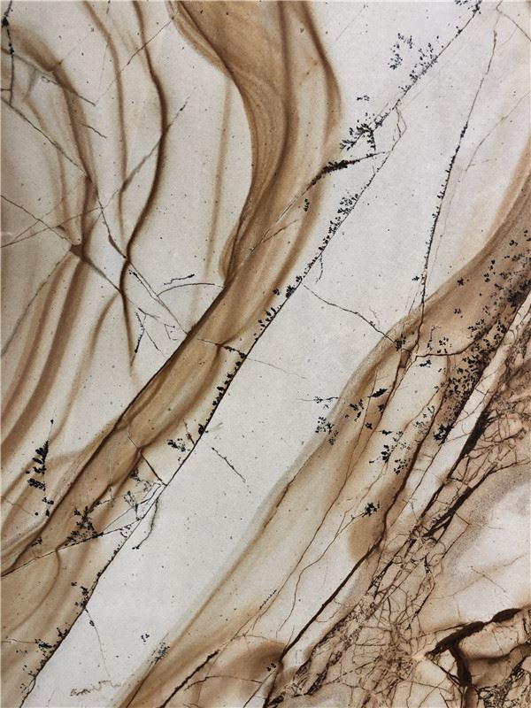 roma imperiale quartzite polished